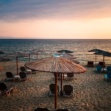 イン Mr & Mrs K Bianco