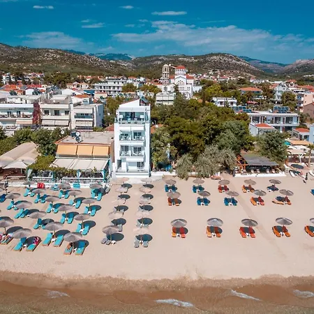 イン Mr & Mrs K Bianco ポトス