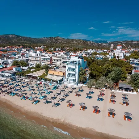 Mr & Mrs K Bianco ポトス