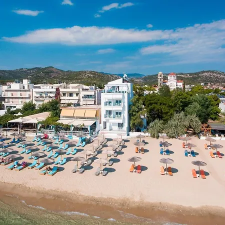 Mr & Mrs K Bianco ポトス