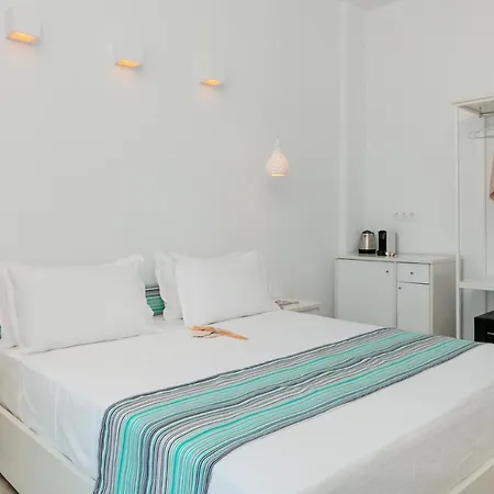 イン Mr & Mrs K Bianco ポトス