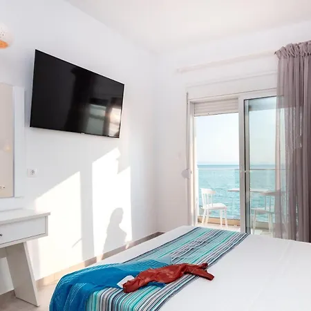 Mr & Mrs K Bianco ポトス