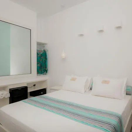 Mr & Mrs K Bianco ポトス